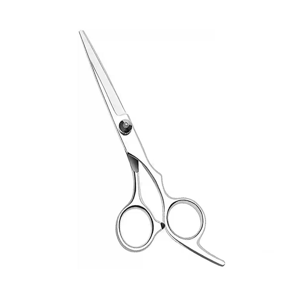 Professional Hair Cutting Scissors