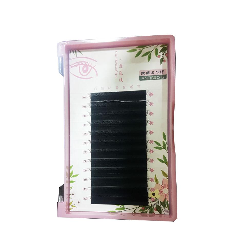 Antibiosis Eyelash Extensions 
