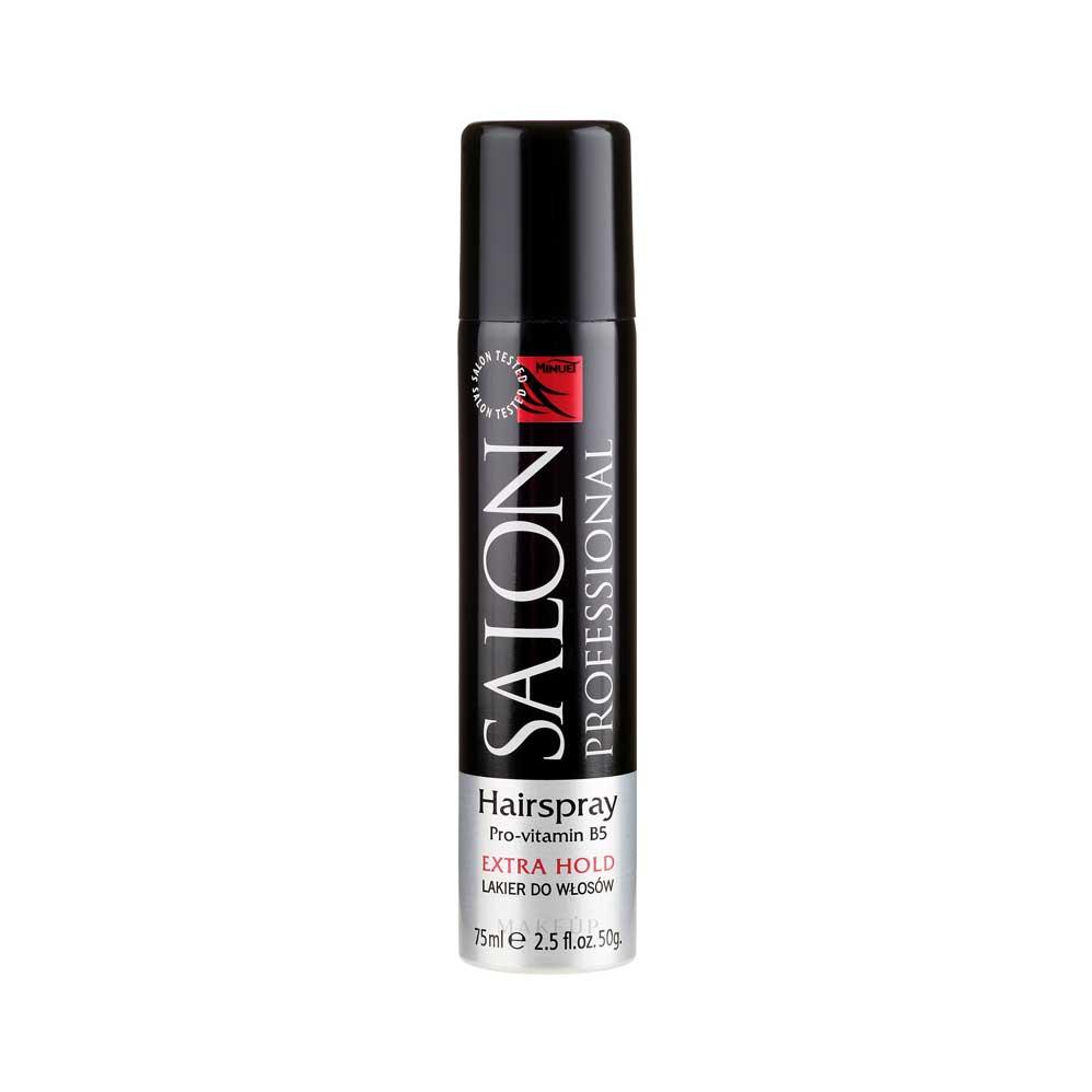 Salon Professional Hair Spray